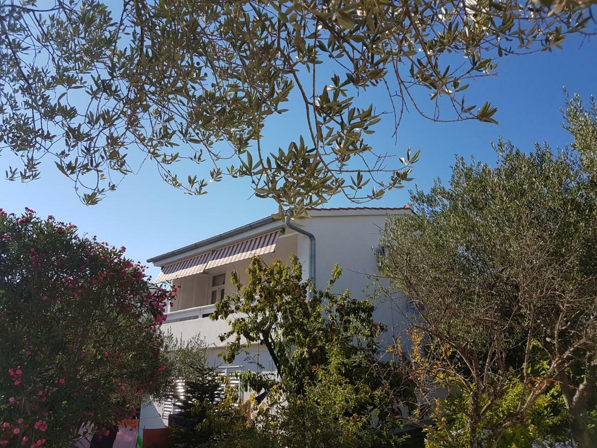 Apartman Roko ペトルチャネ エクステリア 写真